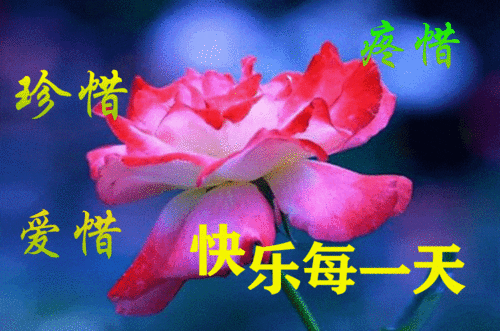 6月12日最漂亮早上好动态表情图片大全,早晨好动图美图大全