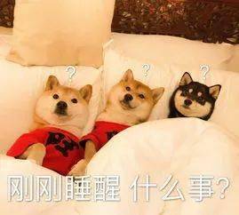 这家闪电航霸气出圈网友笑yue了暴风雨中的逆行者,延误别怕,总能提前到达