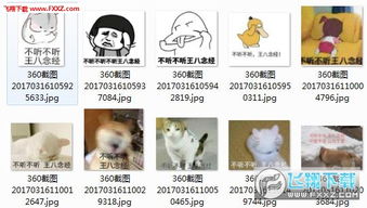 不听不听王八念经表情包系列图片预览