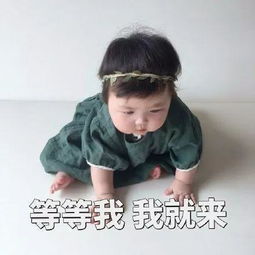 罗熙表情包你在干什么呀
