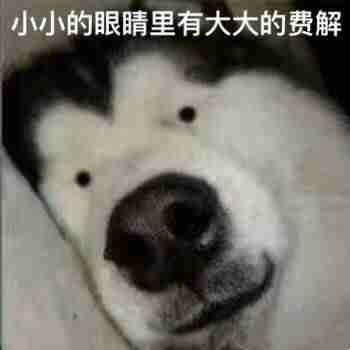 大连新港客运站到大连火车站