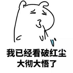 喜欢一个人的全过程,真的可爱又心酸