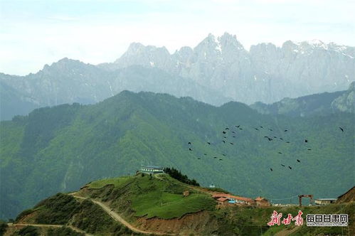 峻岭石峰插云霄雪山林海显苍茫铁尺梁给你的震撼不仅是风光