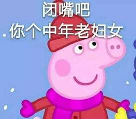 最后,是表情包说尽了我一年的酸甜苦辣