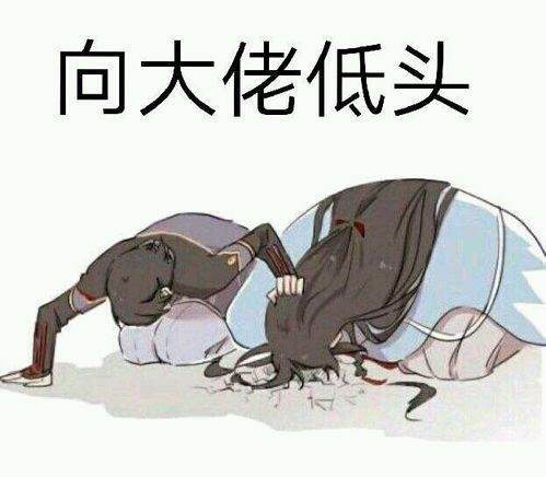 刀剑乱舞精致的表情包多图警告