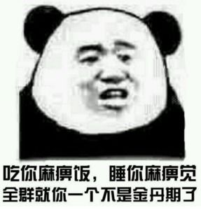 修仙表情包不睡觉修仙表情包黑眼圈熊猫修仙表情包