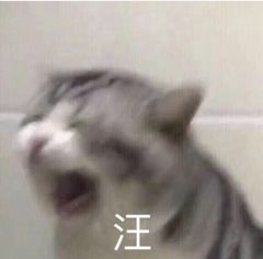 江苏是幸运之省全球免单大礼包砸晕南航的26岁天秤座女生