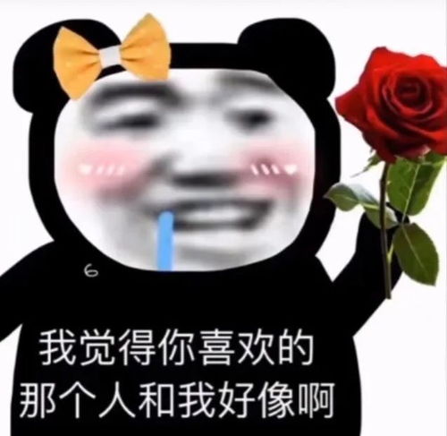 搞怪表情包你喜欢的那个人和我好像