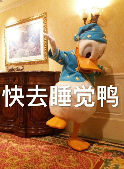 阳朔一座南方小城的美好