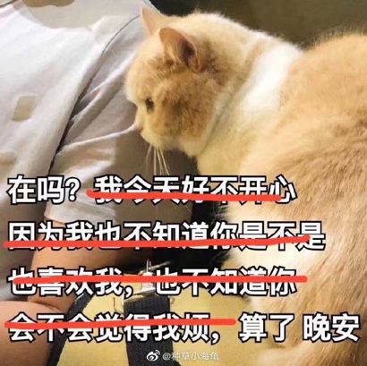 每日谈究竟什么样的情侣才能长久