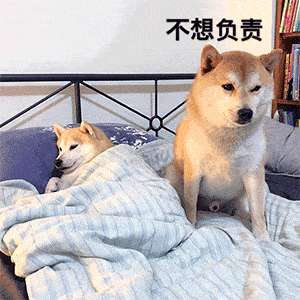 抖音热门沙雕表情包这位先生,请开始你的表演