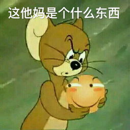无水印表情包堆糖,美好生活研究所