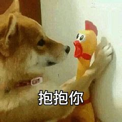 你用过哪些超级暖的安慰人的表情包