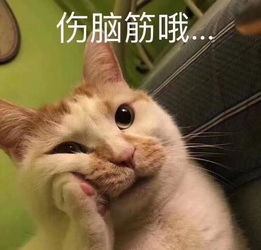 跳舞表情包鬼畜小狐狸