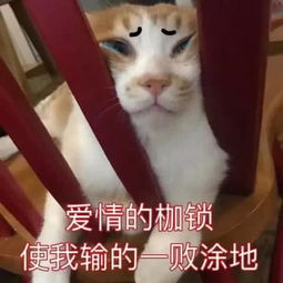 qq怼人高能表情包爱情的枷锁,使我输的一败涂地