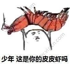 皮皮虾今天不想走了表情包下载皮皮虾今天不想走了表情包图片v1.0下载清风安卓软件网