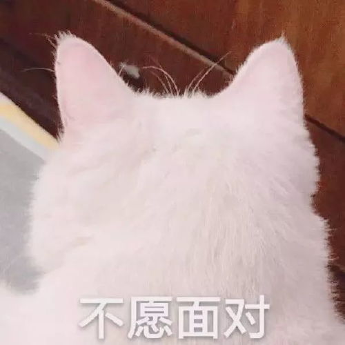 宅家看我十八般除疫