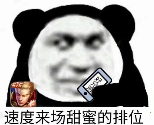 沉迷敲代码表情包熊猫