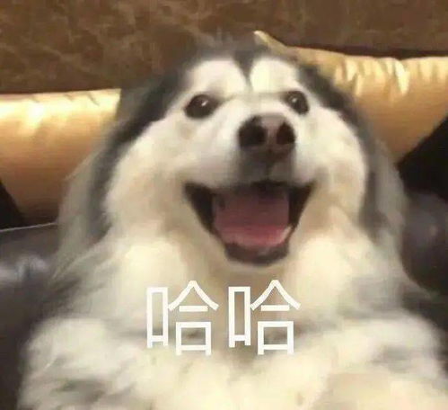 黄晓明闫妮新片定档兰心大剧院首曝预告
