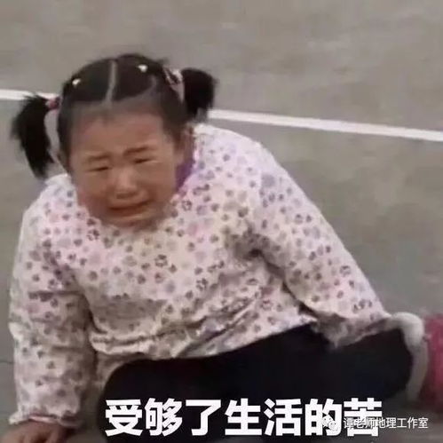 文科与理科的世纪对话文科生vs理科生