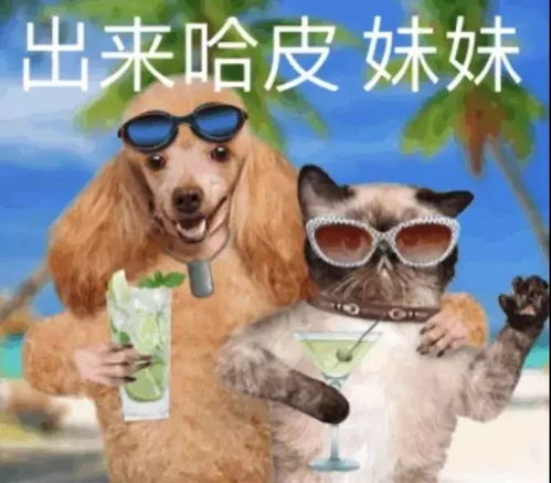 表情包丨生活已经很累了就别去招惹疲惫的感情了
