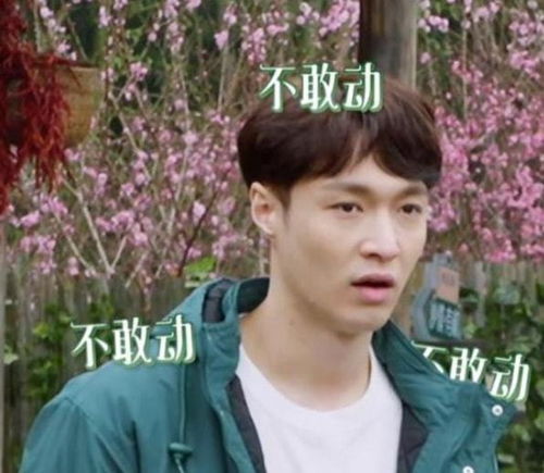 网传张艺兴不愿意加盟向往6,节目某位嘉宾要求他留下来