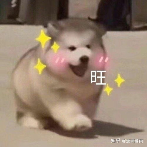 你喜欢发狗头表情的人吗