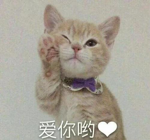 考研党寒假自救指南,在家如何不被爸妈嫌弃