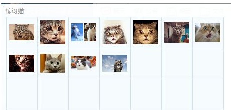 俄罗斯惊讶猫gif图片下载惊讶猫qq表情最新版腾牛下载