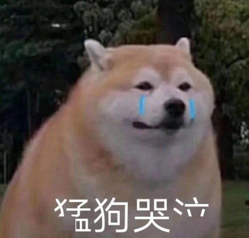 假胸假腰假屁股...还有什么是真的网友再也不相信女人了