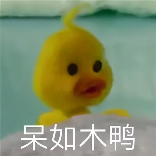 瘦成闪电厦门一美女穿塑身衣,3个月竟变这样医生提醒