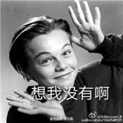 微信斗图小李子表情图片大全小李子恶搞系列表情包