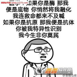 520表情包一加薪