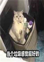 当个垃圾感觉挺好的图片是什么让我们夫妻反目成仇表情包下载乐游网游戏下载
