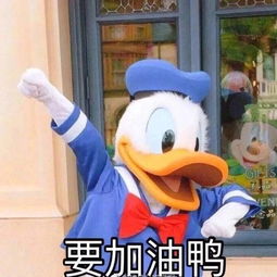 同一个世界,不同的迪士尼