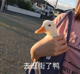 海南放大招浪浪浪买买买模式国庆开启持续一整年