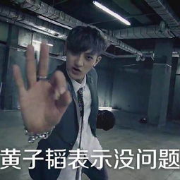 黄子韬表情图2015恶搞黄子韬qq表情包带字