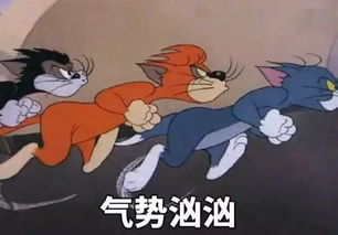 春运回家路上的奇葩,可比人在囧途里的厉害多了