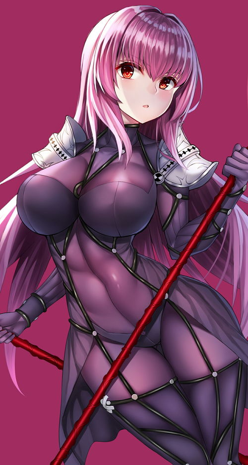 fgo图包紫发老...婆斯卡哈超清美图第一期