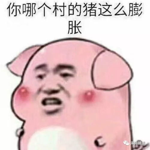 今天我被土味情话表白了