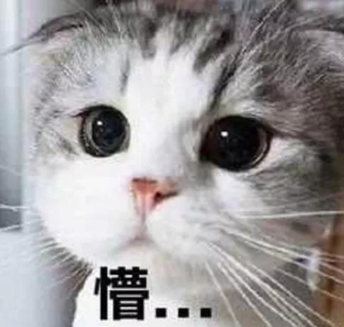 eve史上最壮阔的战役,混战人数高达1379,月均战损破万
