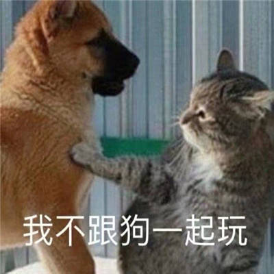 欠打是吧表情包大全