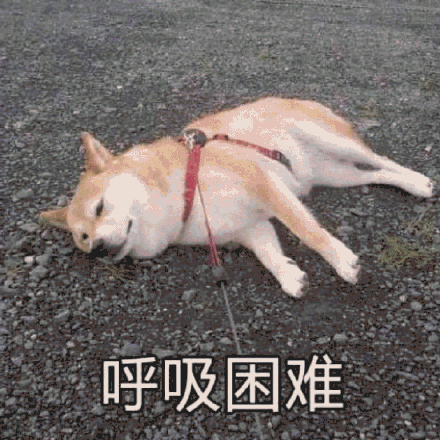 搞笑gif段子美女你的手是面条做的吗这么柔软老婆