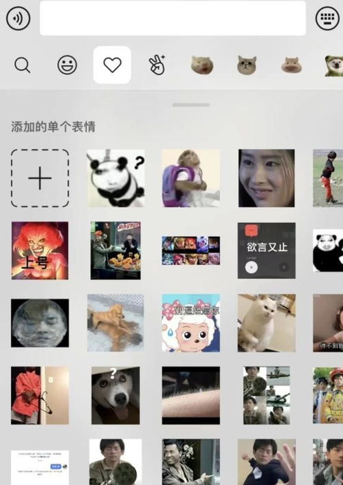 长腿萌妹表情包猥琐萌