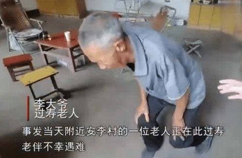 跪下认错表情包坍塌