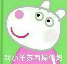 说一说你在学校遇到过的最无语的人