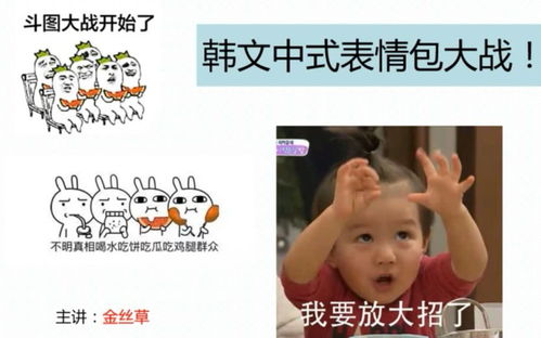 韩语韩文中式表情包大战,你知道吗哔哩哔哩干杯bilibili