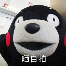 朋友圈的日常表情包无水印版
