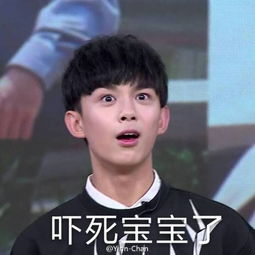吴磊表情包堆糖,美好生活研究所