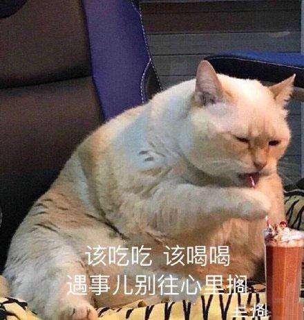 一组令人忧伤的表情包